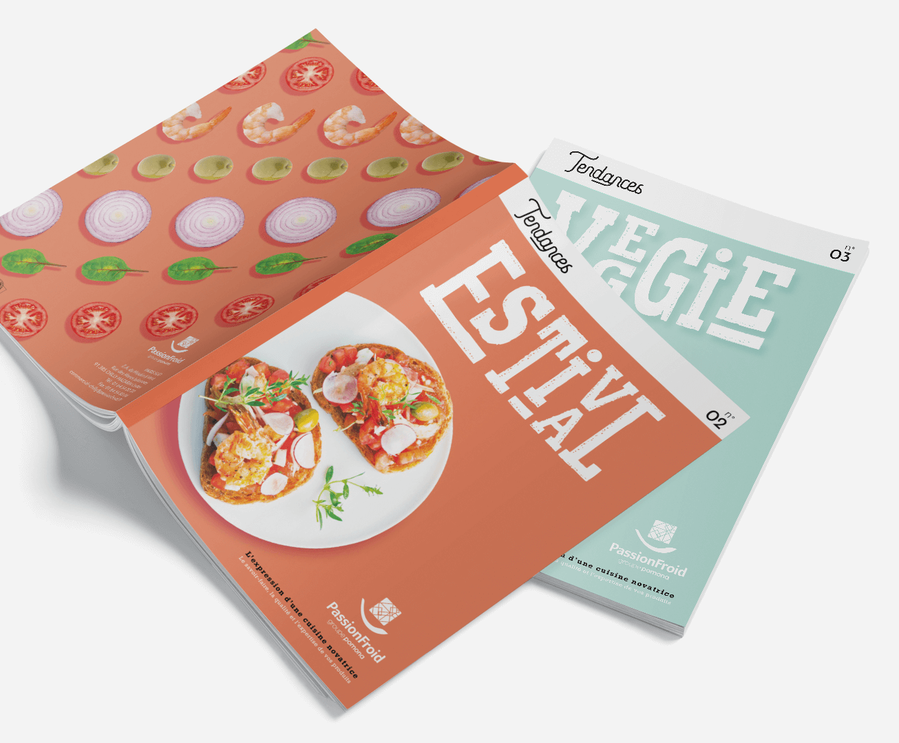 deux couvertures des catalogues Veggie et Estival2023 Passionfroid réalisé par Becom.paris